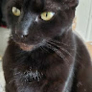 Meet your Posher, Barbara